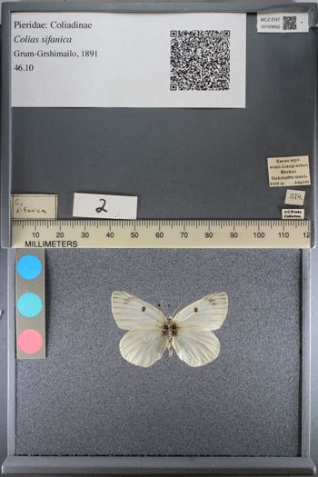 Media type: image;   Entomology 193852